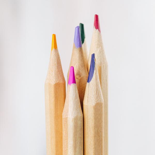 Alles over WordPress